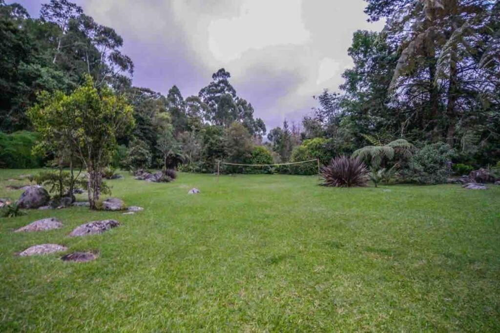 Finca Punta De Piedra Salento, Quindio Βίλα Εξωτερικό φωτογραφία